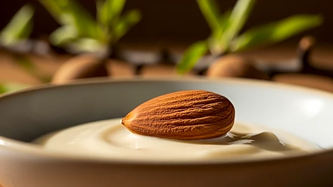 Bitchin’ Sauce Expands Product Line with New Almond-Based Offerings