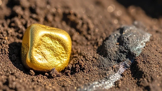 Collective Mining Discovers High-Grade Gold in Maiden Holes at Apollo Project