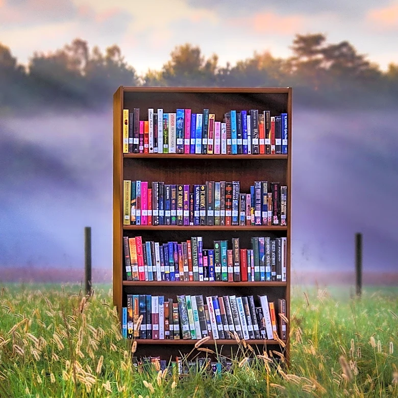 National Little Free Library Day to Launch on May 17