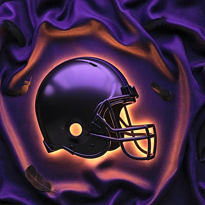 Erin Andrews Celebrates Birthday with Baltimore Ravens' Merchandise