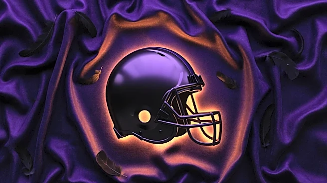Erin Andrews Celebrates Birthday with Baltimore Ravens' Merchandise