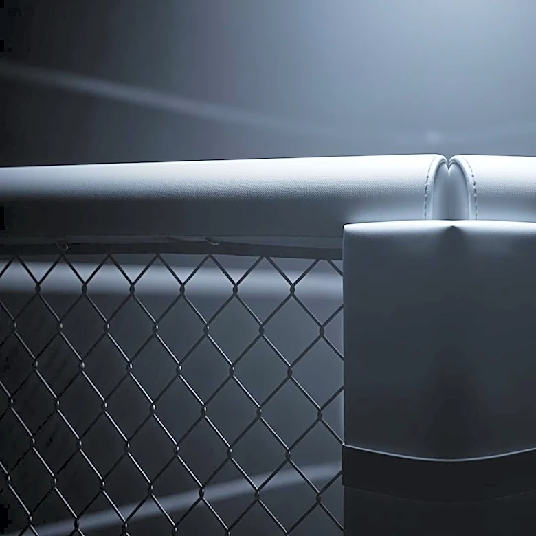 UFC Implements Security Measures to Prevent Disruptions at UFC 328 Title Fight