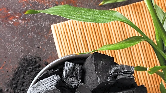 New Pyrolysis System Produces Cleaner Biochar for Agriculture