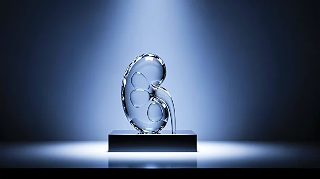 Vertex Receives 2026 Kidney Biotech Innovation Award for Advancements in Kidney Disease Treatment