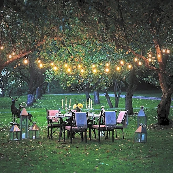 Dining Under the Stars Returns to Media, Pennsylvania, Offering Al Fresco Experience