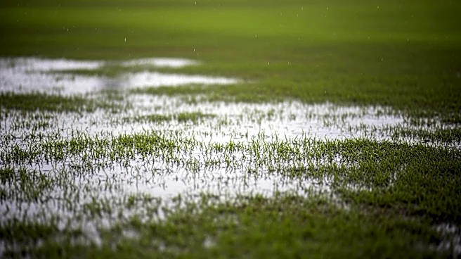 Miami Hurricanes Cancel Final Midweek Game Due to Unplayable Field Conditions