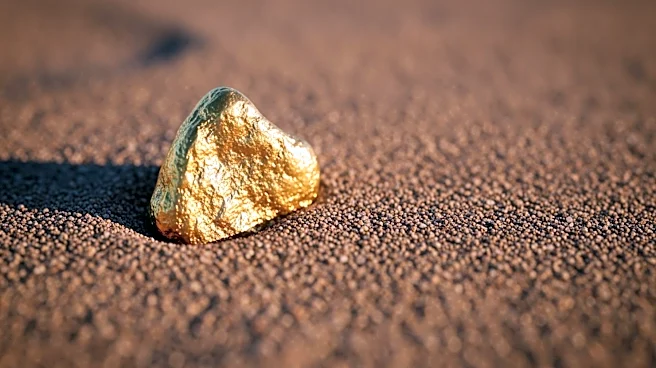 Ark Mines Discovers Gold at Sandy Mitchell Project, Plans Further Exploration