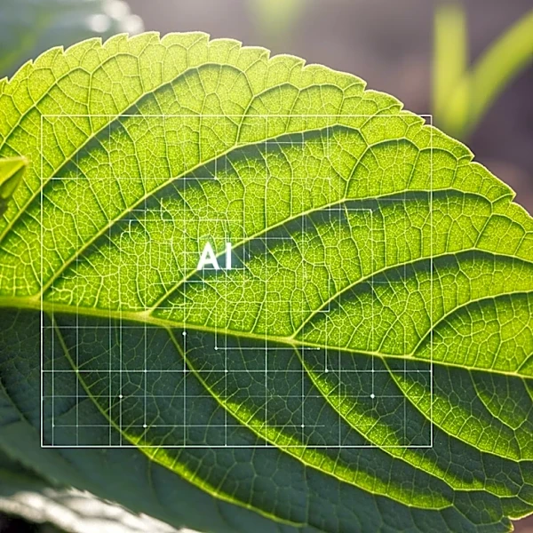 TerraClear Launches AI Weed Mapping Service to Combat Giant Ragweed in Organic Farming
