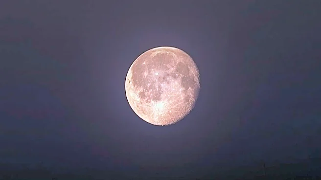 Full Moon Tourism Gains Popularity for Celestial Travel Experiences