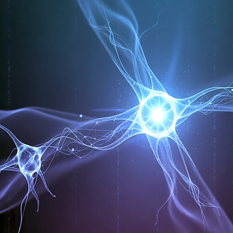 Anthropic Expands AI Capabilities with Dreaming and Outcome Features