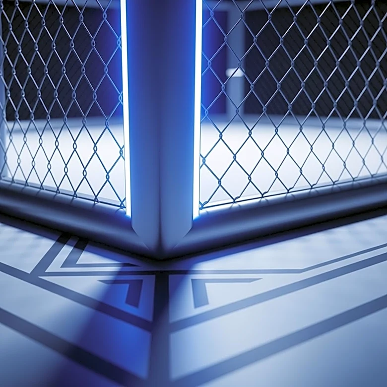 UFC 328 Marks a New Era for the Flyweight Division with Emerging Talent