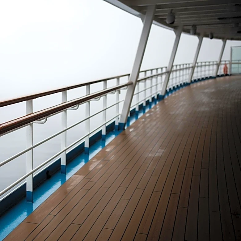 Hantavirus Outbreak on Cruise Ship May Change Industry Practices