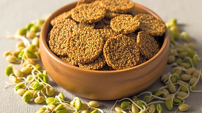 Go Raw Expands Product Line with New Snacking Crisps Featuring Sprouted Seeds