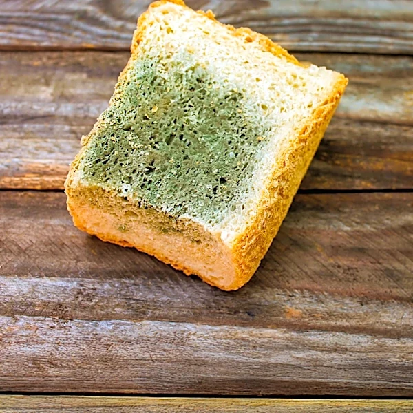 The Health Implications of Daily White Bread Consumption Explored