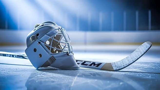 Lukas Dostal's Near Shutout Performance Secures Ducks' Win Over Golden Knights