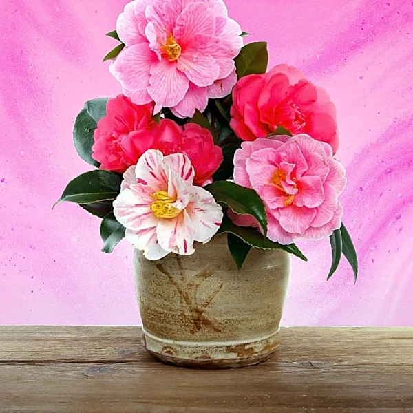 Charlene DeLoach Presents Mother's Day Gift Ideas for Kids Using Flowers