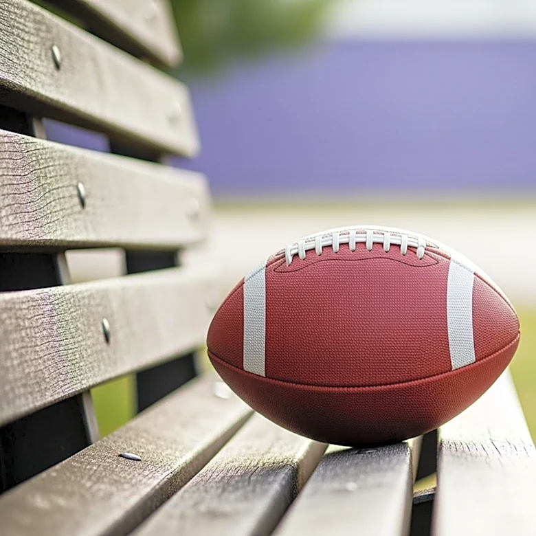 Minnesota Vikings Mourn the Passing of Former Tight End Joe Senser