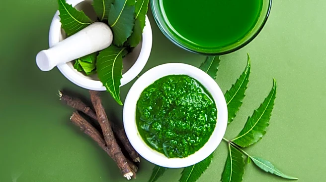 Sahajan Skincare Founder Emphasizes Ayurvedic Roots in Beauty Products