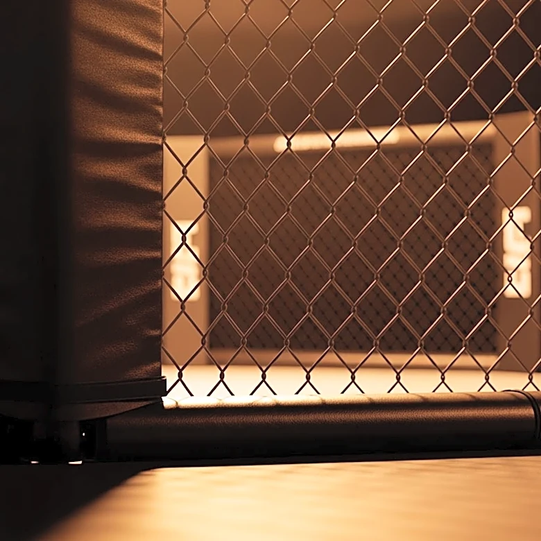 UFC President Dana White Confident in Conor McGregor's Summer Return to the Octagon