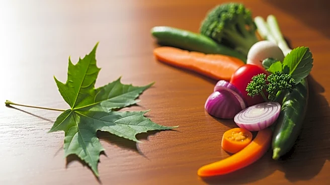 Maple Leaf Foods Revives Yves Veggie Cuisine Amid Plant-Based Market Confidence