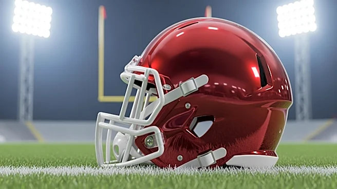 Arizona Cardinals Sign Undrafted Free Agent Damonic Williams to Bolster Run Defense