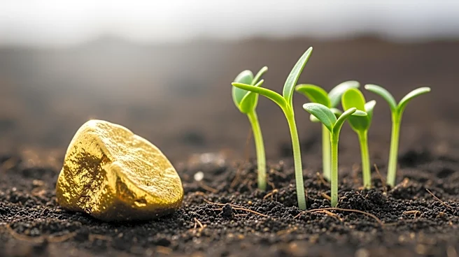 MSCI Upgrades Harmony Gold Mining's ESG Rating, Signaling Improved Environmental and Social Practices