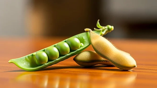 Müller Acquires Berief Food to Expand in Plant-Based Market