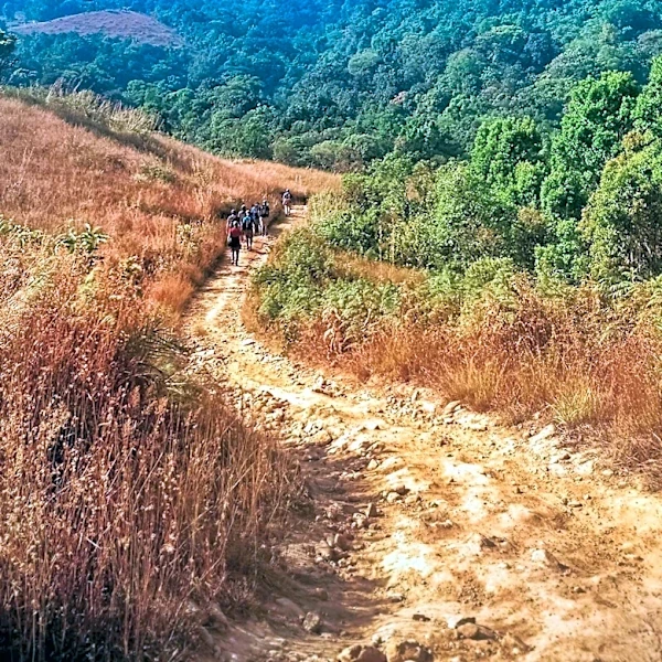Los Angeles Times Highlights Family-Friendly Hiking Trails in Southern California
