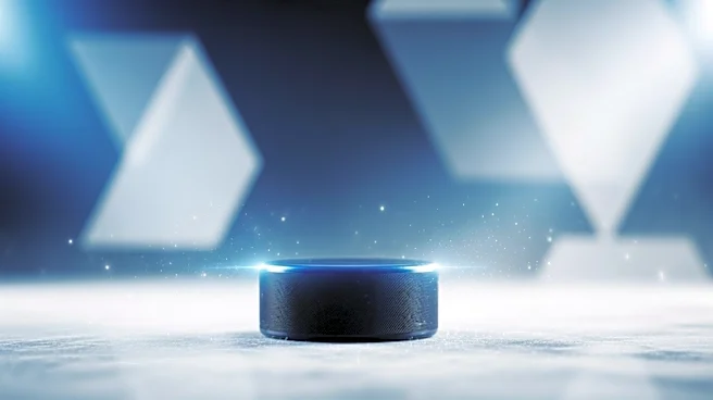 Islanders Prospect Danny Nelson Joins Team USA for IIHF World Championship