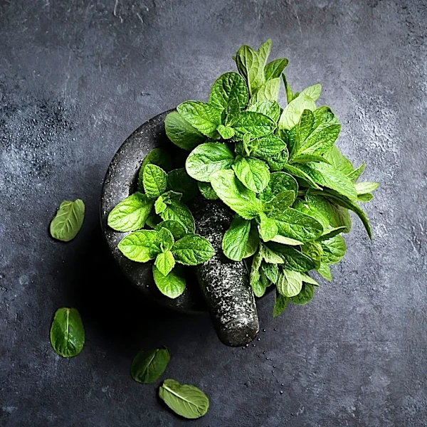 Leafy Vegetables Identified as Sustainable Mining Tools for Metal Extraction