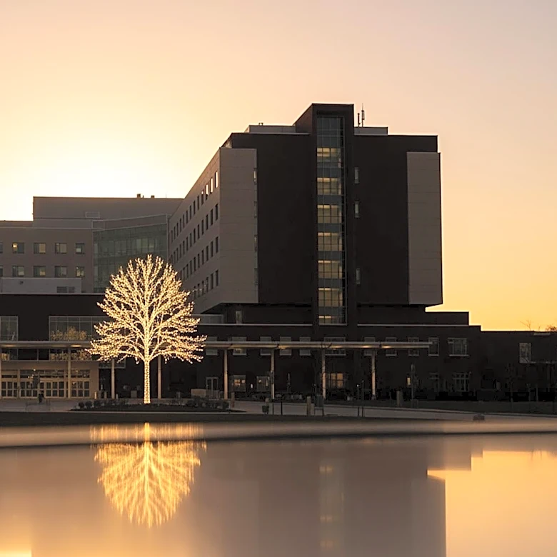 Koum Foundation's $200M Donation to Transform Jerusalem's Shaare Zedek Hospital