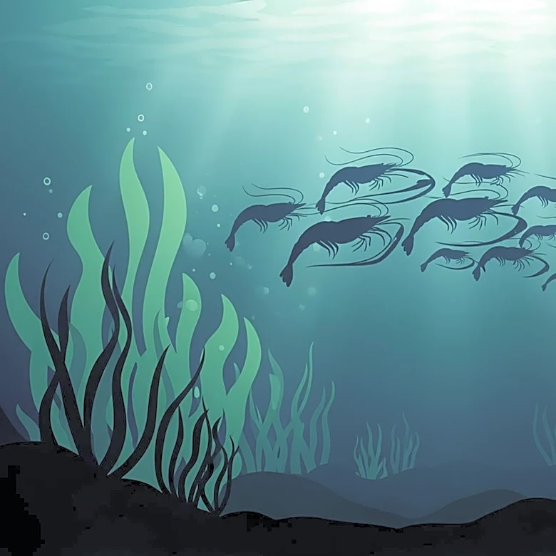 Nutreco Expands Eruvaka Shrimp Farming Ecosystem to 12 Countries, Enhancing Global Aquaculture