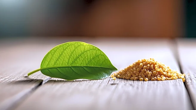 Quorn's Transition Plan Focuses on Natural Ingredients and Profitability Amid Global Challenges