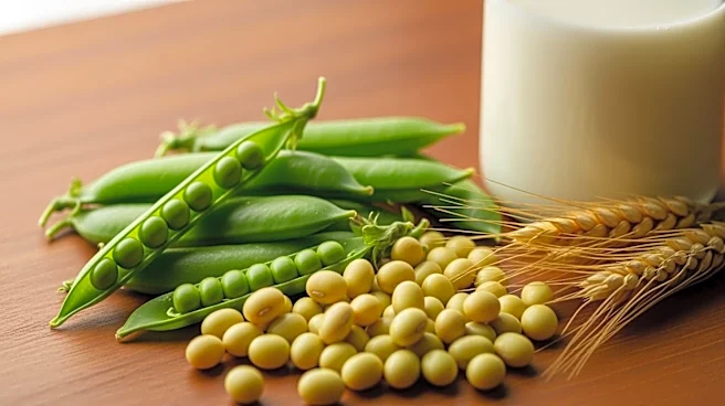 Müller Expands Plant-Based Market Presence with Acquisition of Berief Food