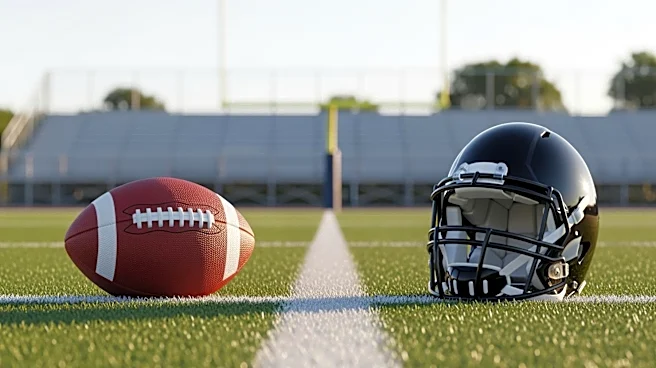 Vikings' Rookie Minicamp Features Notable Quarterback Tryouts