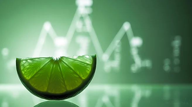 Lime Files for IPO Amidst Financial Challenges and Uber Partnership