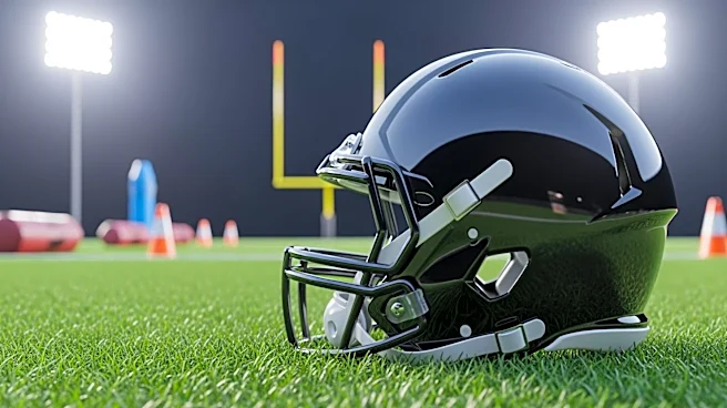 Baltimore Ravens Rookies Impress at Minicamp, Setting Stage for Upcoming Season