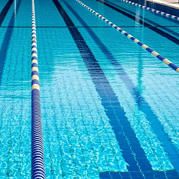 Granada Hills Dominates City Section Swimming Finals, Extending Championship Streak