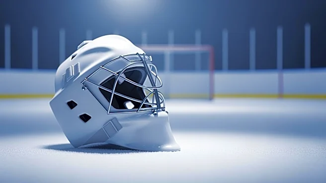 Jakub Dobeš Emerges as Canadiens' Long-Term Goalie Solution in NHL Playoffs