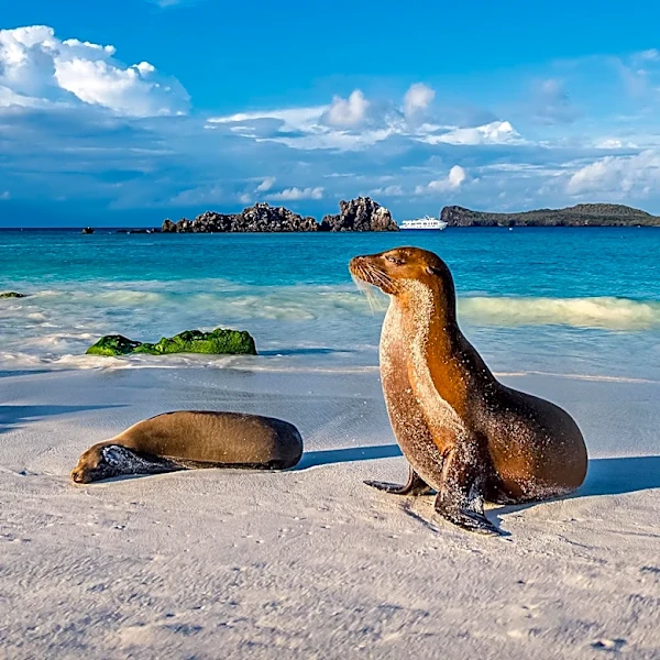 Traveler's Cash Shortage Almost Ruins Galápagos Islands Trip