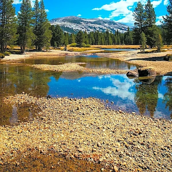 National Parks Offer Budget-Friendly Summer Travel Options for Families