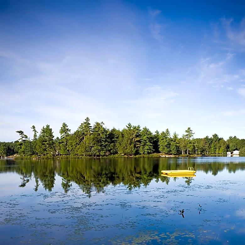 Squam Lakes Natural Science Center Hosts New Hampshire Day with Discounted Admission