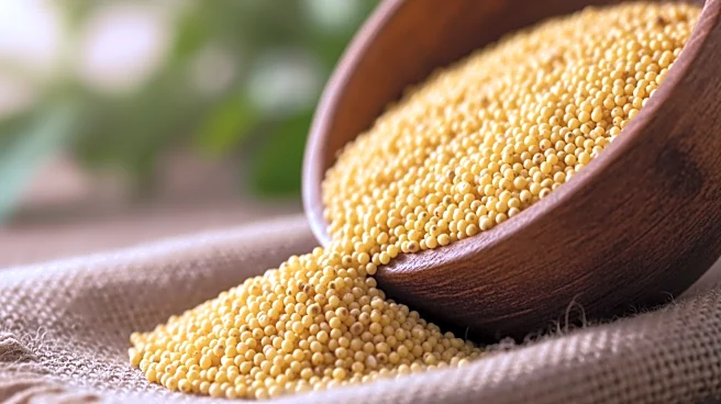 FMCG Brands Leverage Organic Millet Agriculture for Eco-Friendly Consumer Products