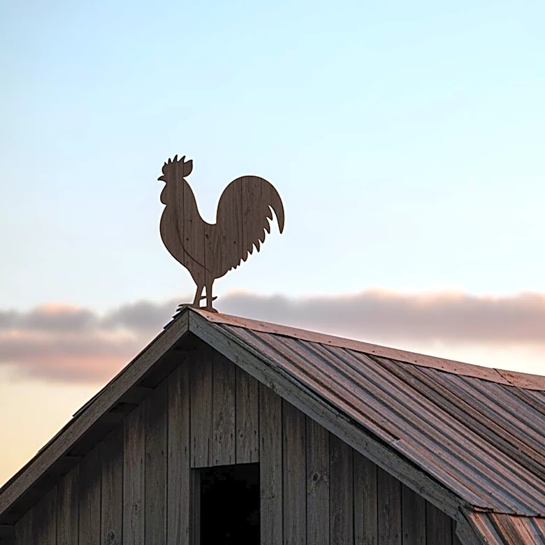 HBO's 'Rooster' Showrunners Plan Season 2 with Expanded Cast and New Storylines