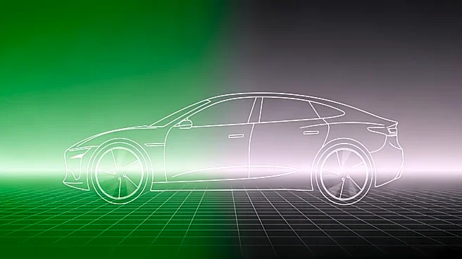 China's NEV Sales Decline Amid Rising Penetration Rates