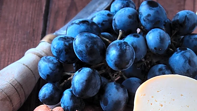 Westport's Wine, Cheese  Chocolate Festival Returns with Expanded Offerings