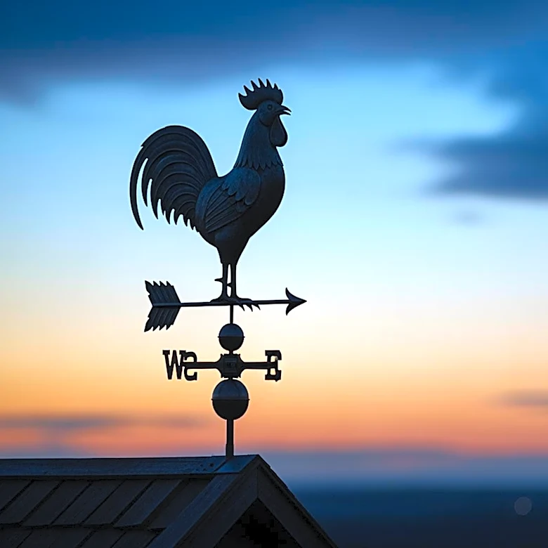 HBO's 'Rooster' Showrunners Plan Season 2 Release Within a Year