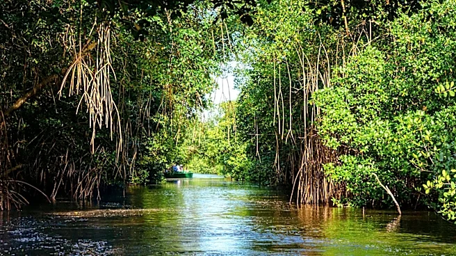 Eco-Tourism Surge in Florida Boosts Demand for Educational Airboat Tours