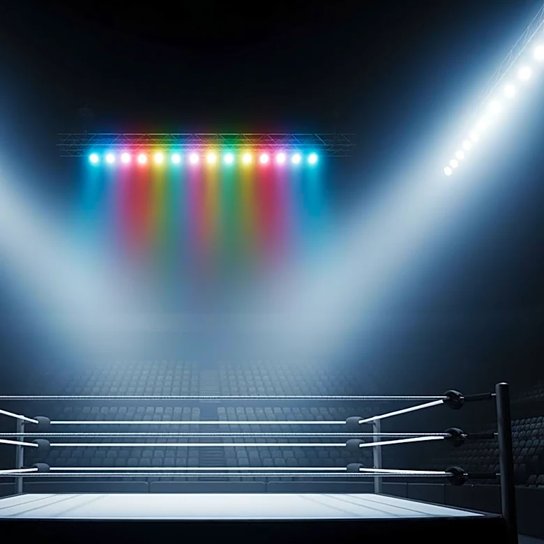 WWE Announces Matches for Saturday Night's Main Event XLIV in Fort Wayne