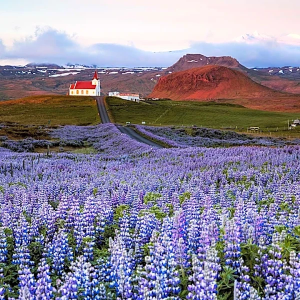 Iceland Hosts Diverse Wellness and Cultural Events Amidst Spring Season